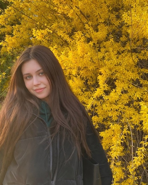 pokerdealer header picture leakfans.com