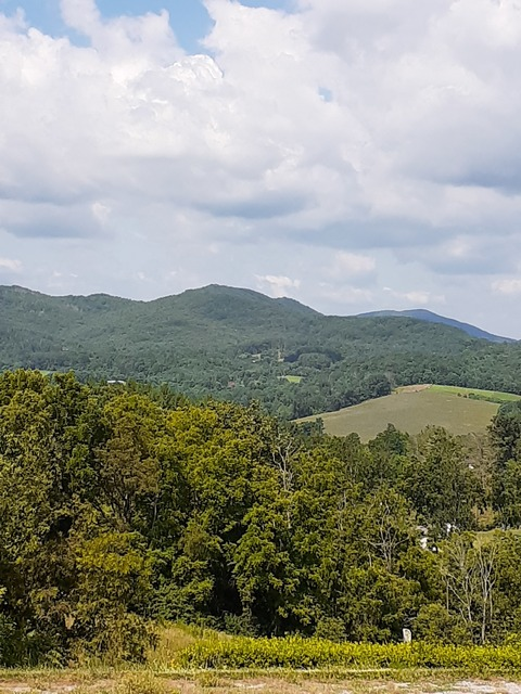 poledancer header picture leakfans.com