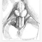 politoboy714 profile picture leakfans.com