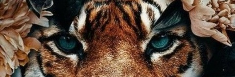 pollykendall header picture leakfans.com