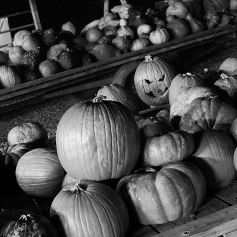 poppins2013 header picture leakfans.com