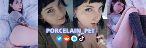porcelain_pet header picture leakfans.com