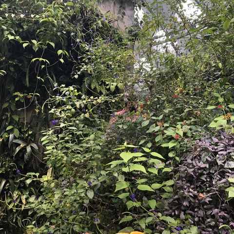 poutypisces header picture leakfans.com