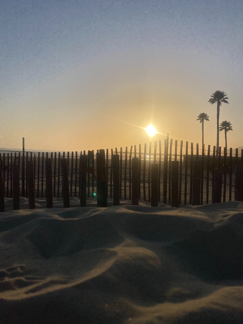 pprincesspeachezz header picture leakfans.com