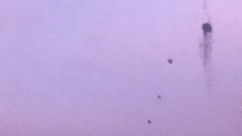 prettyfacejackie header picture leakfans.com