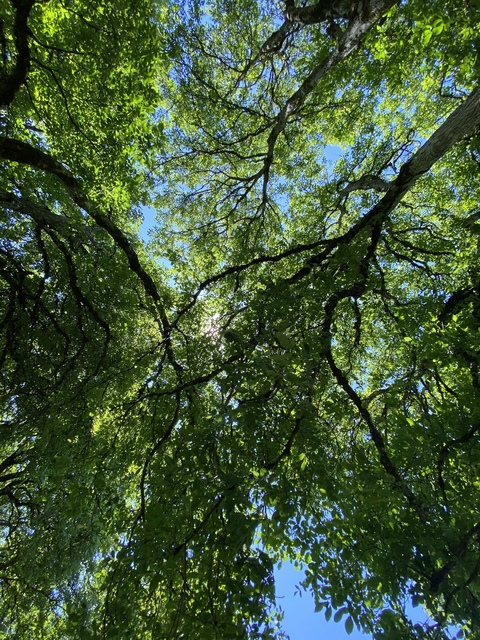 prettyindica header picture leakfans.com