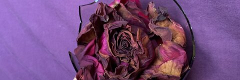 prettylilsinner header picture leakfans.com