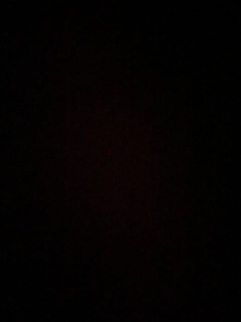 primrosebelle header picture leakfans.com