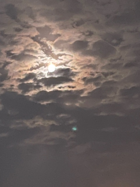 princess294476 header picture leakfans.com