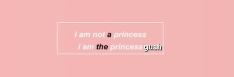 Header of princess_gush