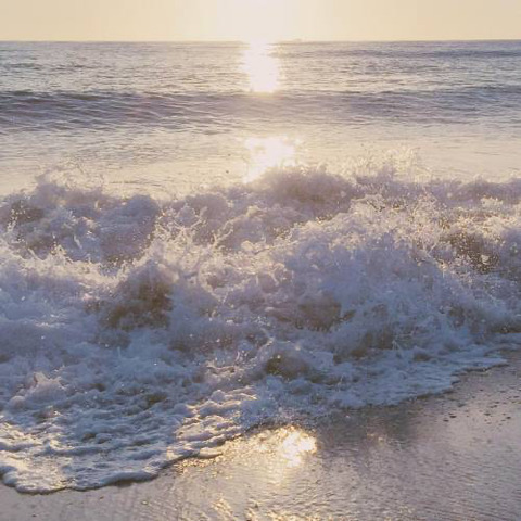 princessanaka header picture leakfans.com