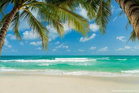 princessilf header picture leakfans.com