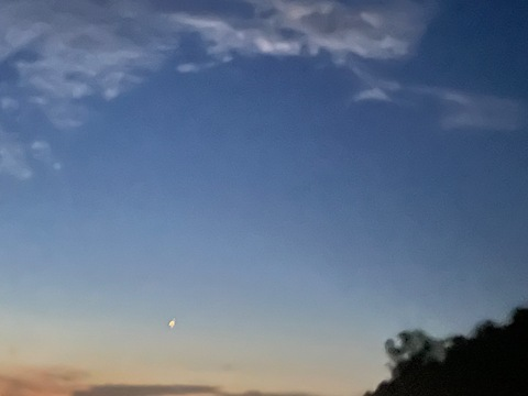 princesslix header picture leakfans.com