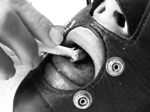 probablyurbunny header picture leakfans.com