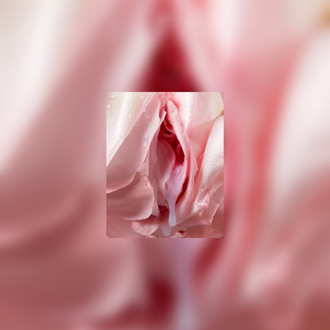 prosperousrose header picture leakfans.com