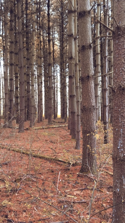 psdirtydeeds header picture leakfans.com