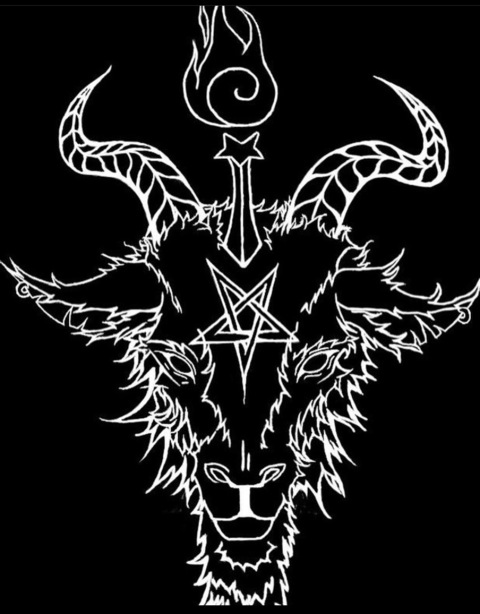 psychedeliclevi header picture leakfans.com