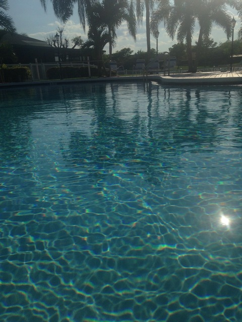 psychoredbunny header picture leakfans.com