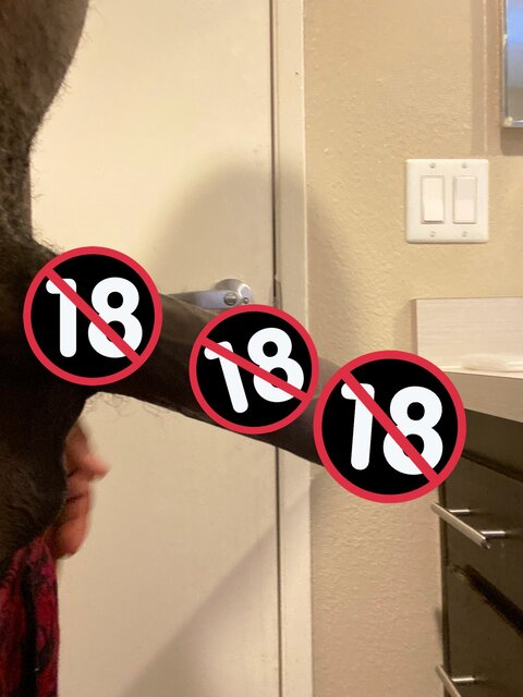 pullbackjack header picture leakfans.com