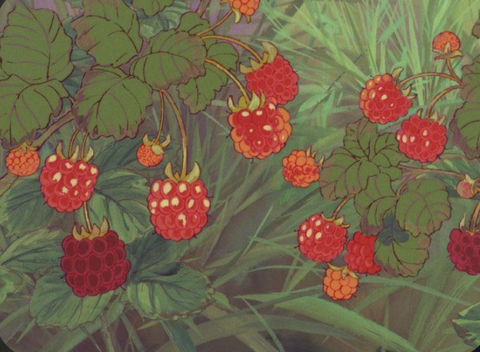 punkfrog header picture leakfans.com