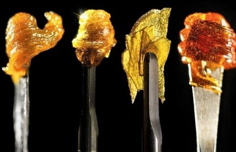 punky.d header picture leakfans.com