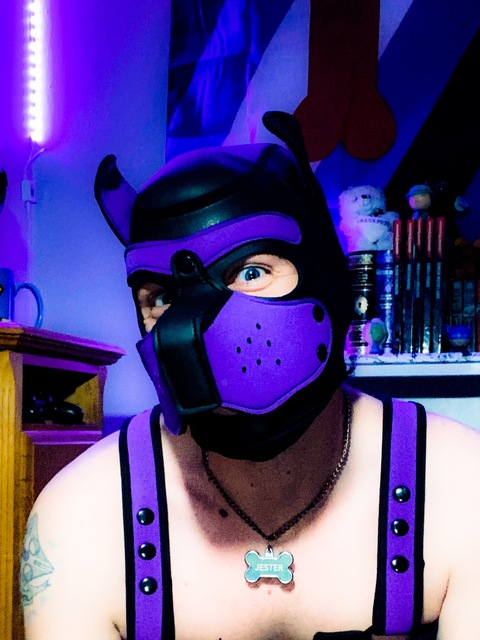 pup-jester header picture leakfans.com