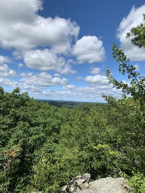 pup_bones header picture leakfans.com