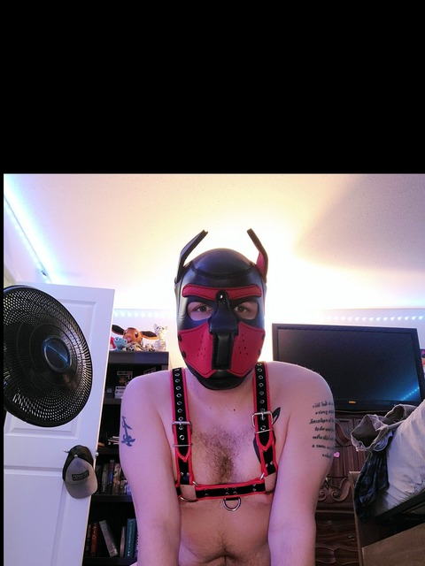 pup_merlin header picture leakfans.com