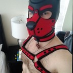 pup_scout profile picture