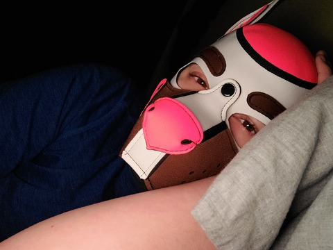 pupneo95 header picture leakfans.com