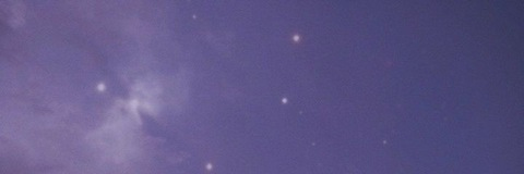 puppycookiecakes header picture leakfans.com