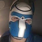 pupquinn21 profile picture