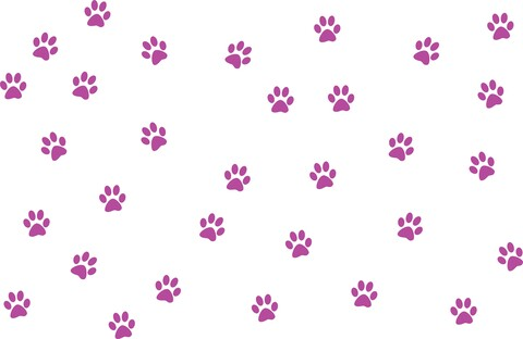 Header of purplecats