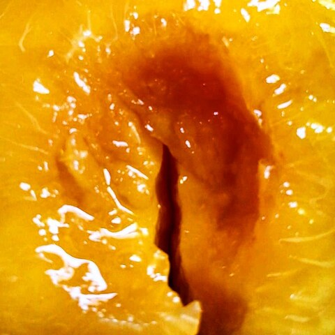 purpupro header picture leakfans.com