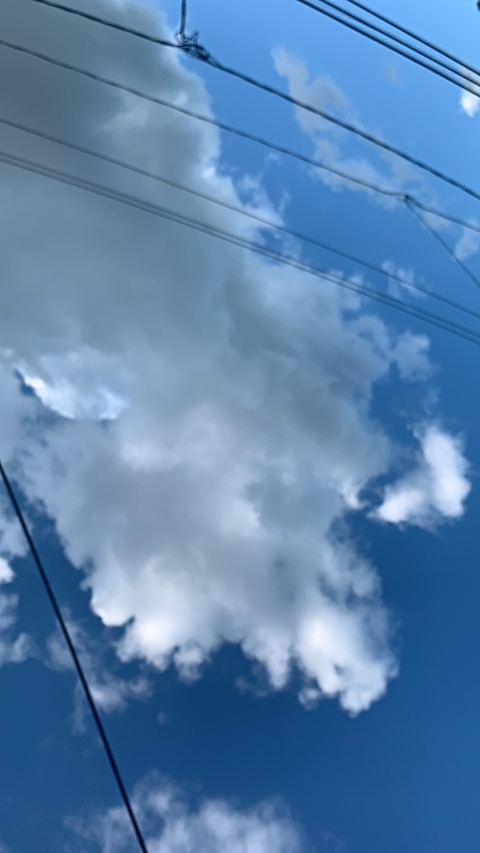 pxssyfairyyyy header picture leakfans.com