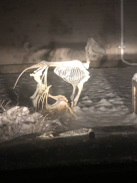 pylehazard header picture leakfans.com