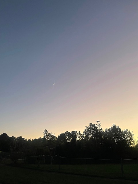 pyschedelicgoddess2 header picture leakfans.com