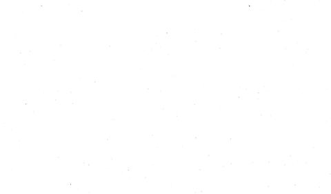 qt_jackie header picture leakfans.com