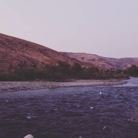 quartz19 header picture leakfans.com