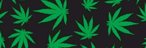 queenbadot header picture leakfans.com