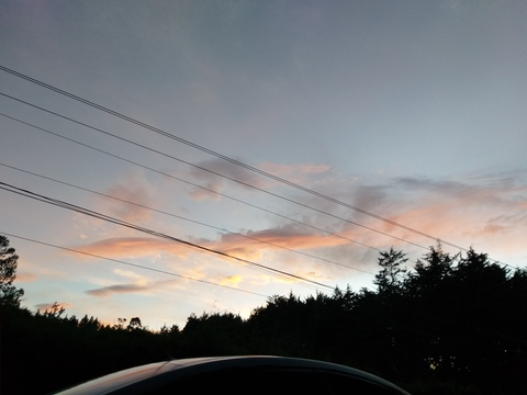 queenbeec header picture leakfans.com