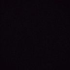 queenbi profile picture leakfans.com