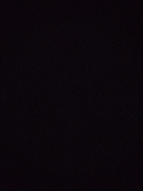 queenbi header picture leakfans.com