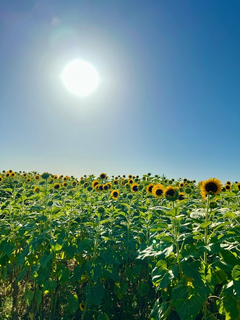 queencxmi header picture leakfans.com