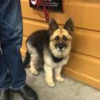 queenkairi profile picture leakfans.com