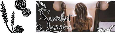 queensucculent header picture leakfans.com