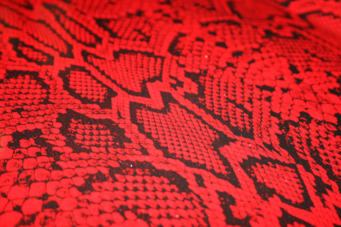 queenxcarmen header picture leakfans.com