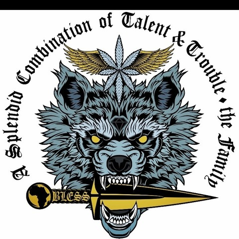 quniversal9 header picture leakfans.com