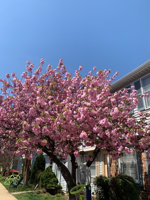 rach1 header picture leakfans.com