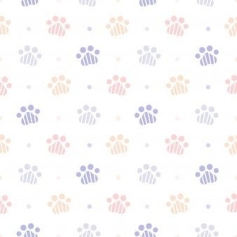 rachelsfeet10 header picture leakfans.com